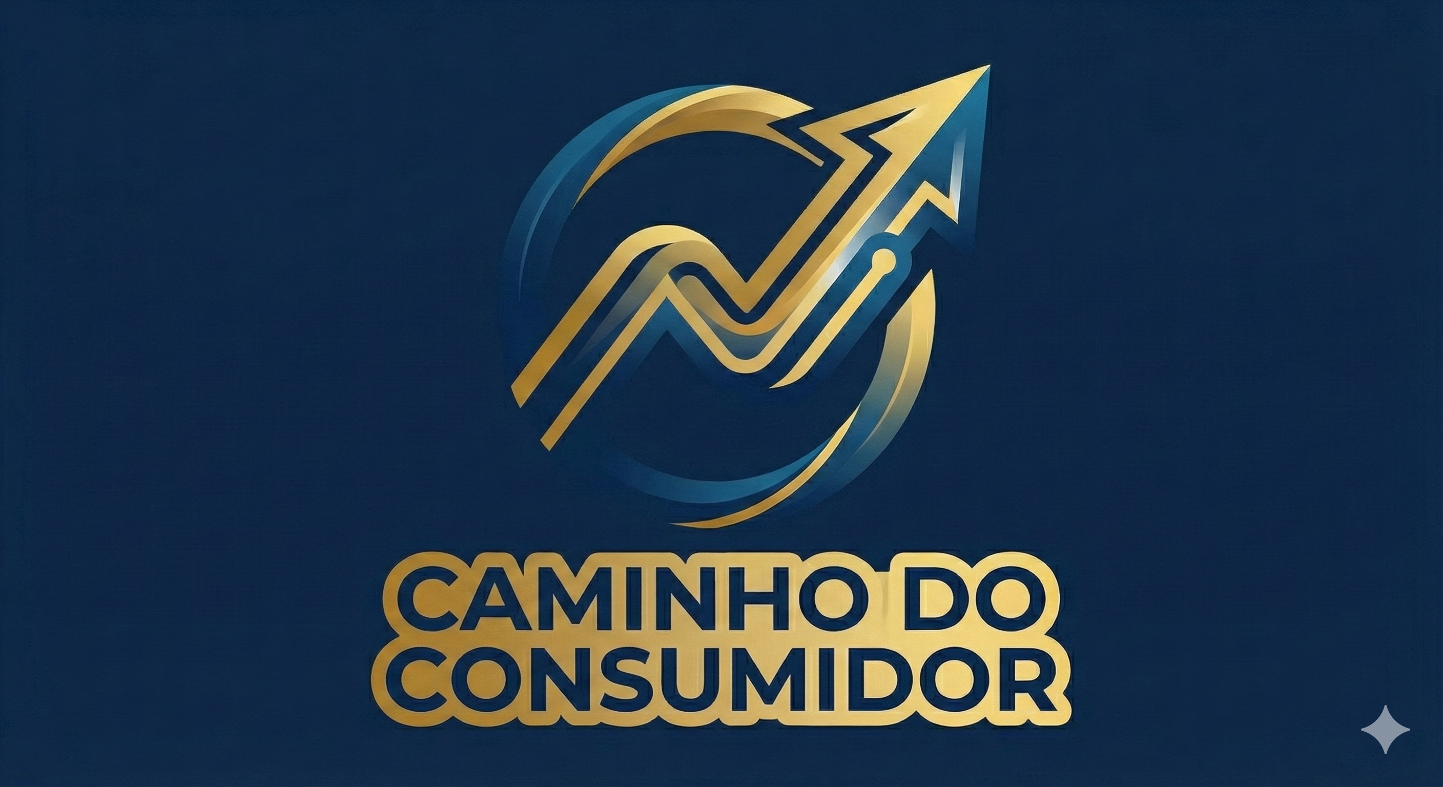 O CAMINHO DO CONSUMIDOR